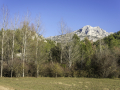 Provence/Sainte Victoire