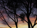 Ventabren / Provence