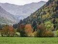Ancelle/France