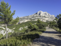 Sainte Victoire/ France
