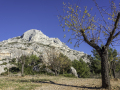 Sainte Victoire/ France