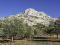 Sainte Victoire/ France