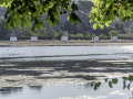Lac Kir / Dijon
