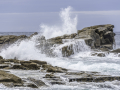Bretagne, France, L'île Grande