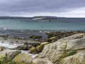 Port blanc