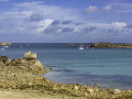 Port blanc
