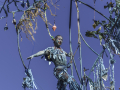 La compagnie art de la rue "Gratte ciel"