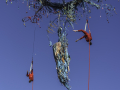 La compagnie art de la rue "Gratte ciel"