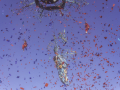 La compagnie art de la rue "Gratte ciel"