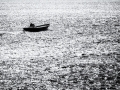 DSC_9626-Modifier