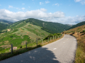 Mont Aigoual
