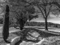 DSC_1014-Modifier.jpg