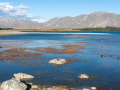 Lake Tekapo/Nouvelle Zélande
