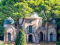 Corse/Pino