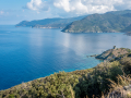 Corse/Pino, Tour de Scalo