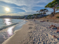 Palombaggia/Corse