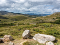 Plateau du Cuscionu/Corse