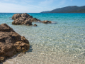 Corse