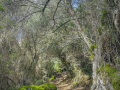 Olmeto / Corse