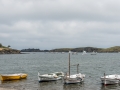 DSC_2197