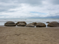 Moeraki Boulders Beach/Nouvelle Zélande
