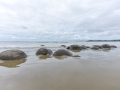 Moeraki Boulders Beach/Nouvelle Zélande