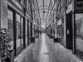 DSC_4453-Modifier