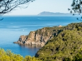 ile de Porquerolles