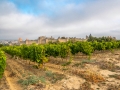 Carcassonne