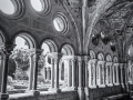 Fontfroide/ Le cloître