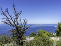 Calanques d'En-Vau/France