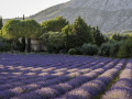 Sainte Victoire/France