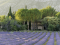 Sainte Victoire/France