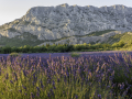 Sainte Victoire/France