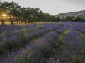 Sainte Victoire/France