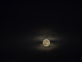Lune
