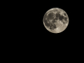 Lune