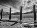 DSC_1010-Modifier.jpg