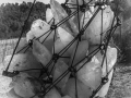 DSC_1078-Modifier.jpg