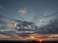 DSC_1259.jpg