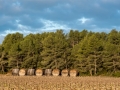 DSC_1286.jpg