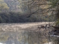 DSC_1289.jpg