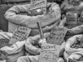DSC_1716-Modifier