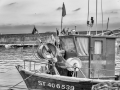 DSC_2316-Modifier