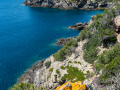 Porquerolles