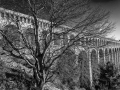 DSC_9603-Modifier