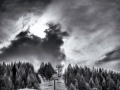 DSC_9135-Modifier