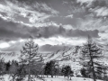DSC_9207-Modifier