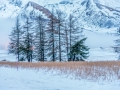DSC_9475-Modifier