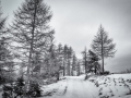 DSC_9479-Modifier